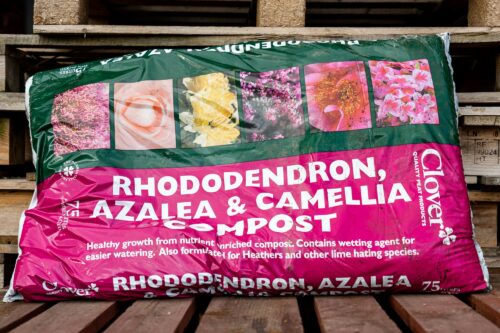 Rhododendron, Azalea & Camellia (ericaceous) Compost Product Image