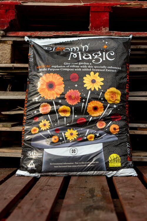 Bloom & Magic Product Image