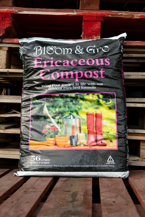 Bloom & Grow Ericaceous Product Image