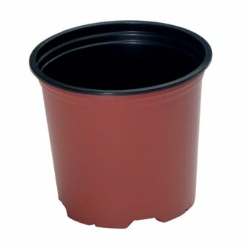 Poppleman-Teku 12cm Terracotta Full Pots Product Image