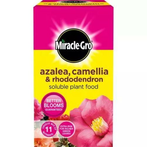 Miracle-Gro Ericaceous Plant Food 500g Product Image