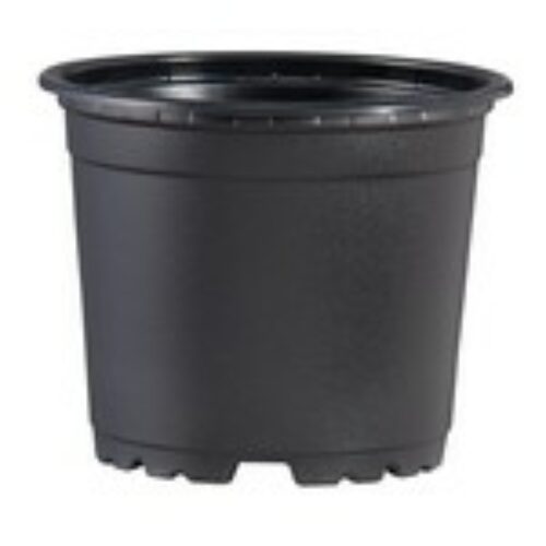 Poppleman TEKU 5ltr VCC22 Black Container Pots (25) Product Image