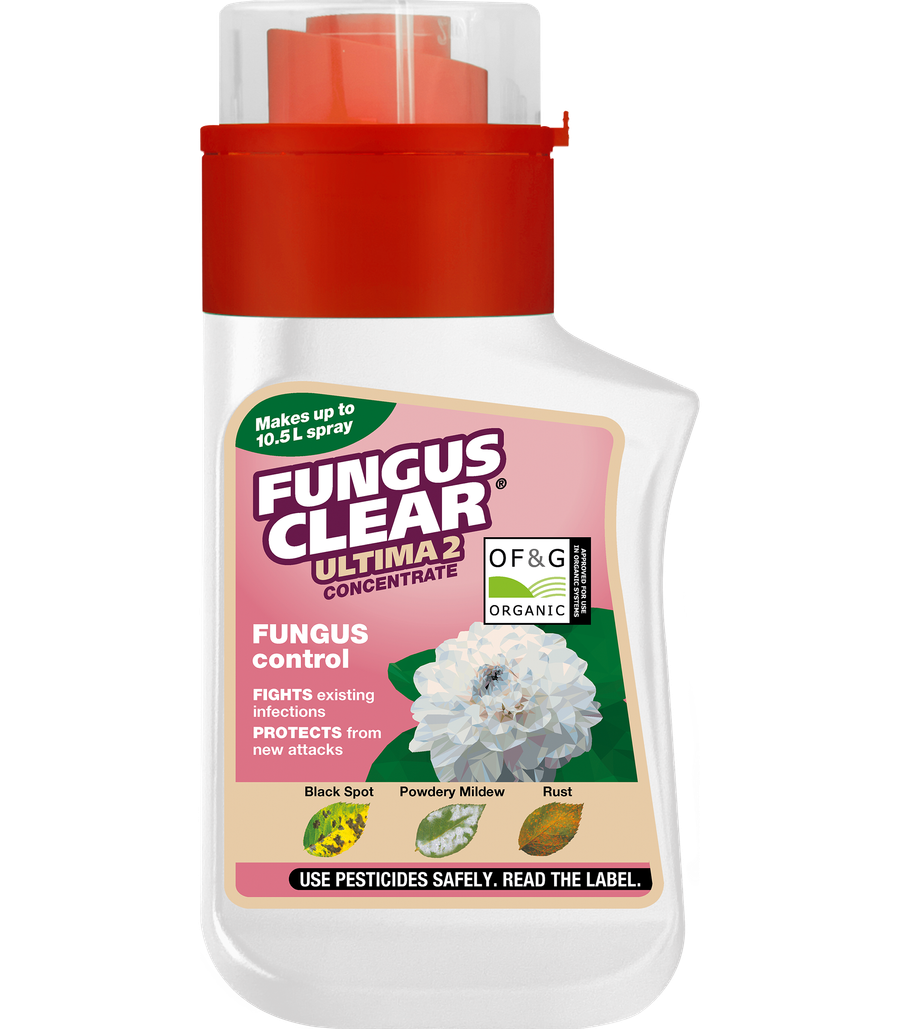 fungusclear