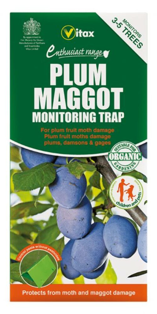 Plum Maggot Trap Product Image