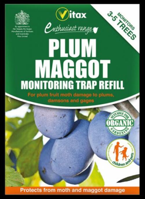 Plum Maggot Trap Refill Product Image