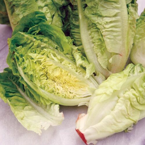 Little Gem Lettuce Product Image