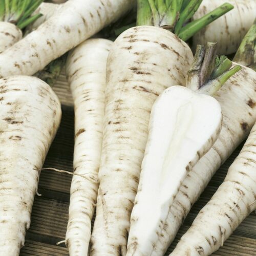 RHS PARSNIP PALACE F1 Product Image