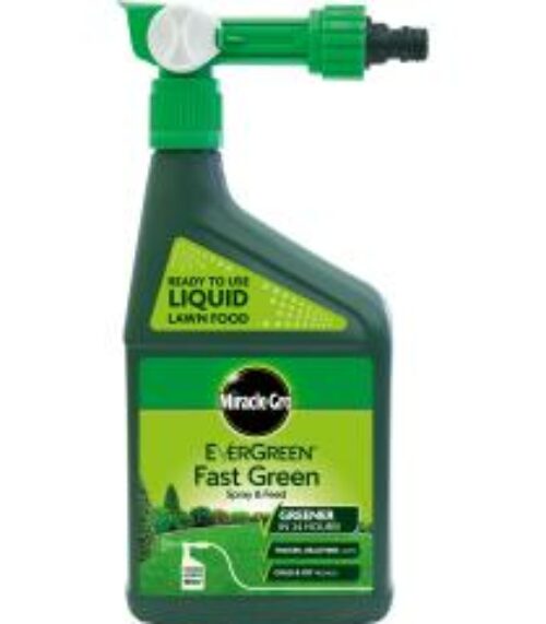 EvergreeGreen Spray & Feed Lawn Gun 1ltr 100m2 Product Image
