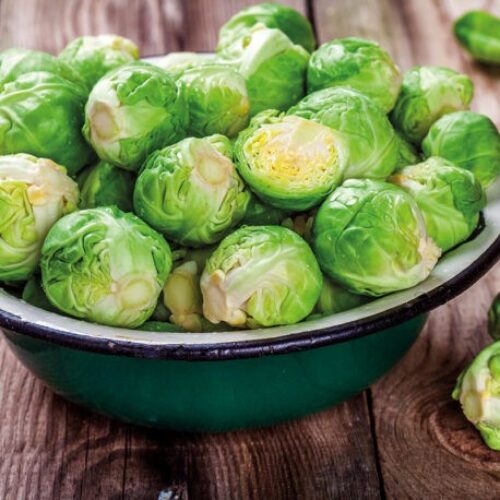 Johnsons Brussel Sprout Brechin F1 Product Image