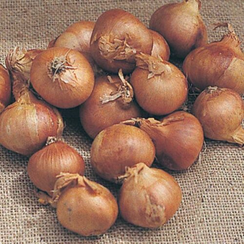 Golden Gourmet Shallots 400g Product Image