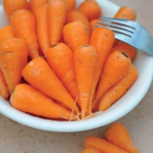 Mr Fothergill’s Carrot (Baby Chantenay) Cascade F1 Product Image