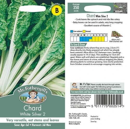 Mr Fothergill’s Chard White Silver 2 Product Image