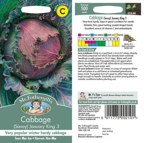 Mr Fothergills Cabbage January King 3 (Savoy) Product Image