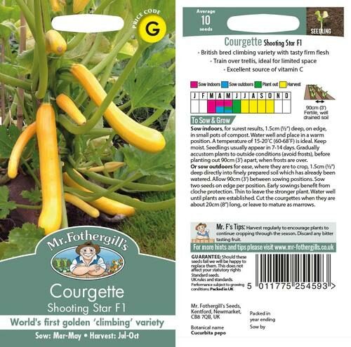 Mr Fothergill’s Courgette Shooting Star Product Image