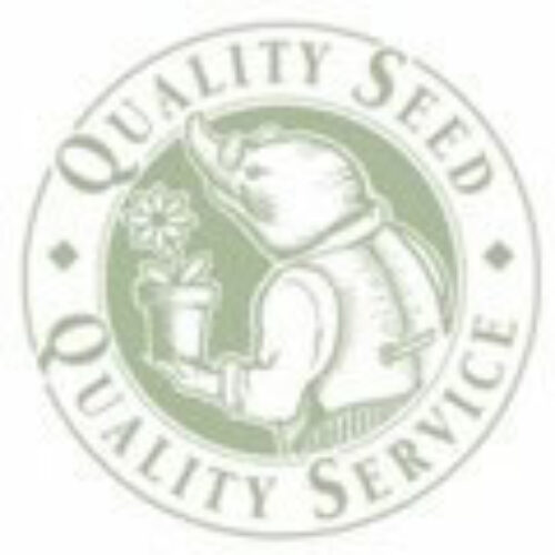 MOLES SEEDS PEA Hurst Greenshaft 1kg Product Image