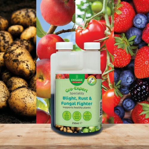 Engage Gro-Expert Blight, Rust & Fungal Fighter 250ml Product Image