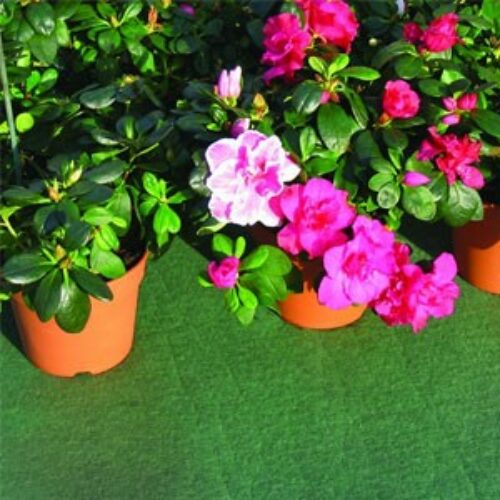 Tildenet Capillary Watering Mat 2.5m * 0.6m Product Image