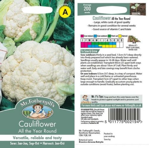 Cauliflower All The Year Round Seeds Product Image