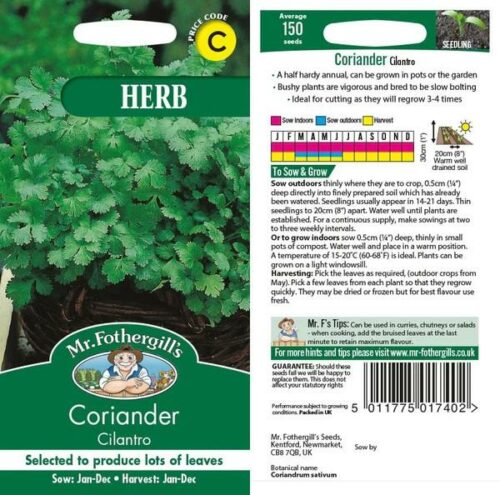 Coriander Cilantro Product Image