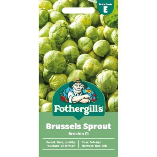 Brussels Sprout Brechin F1 Seeds Product Image