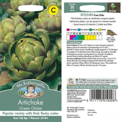 Artichoke Green Globe Product Image