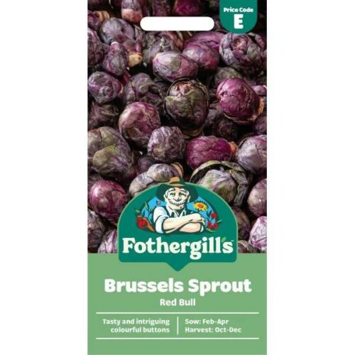 Brussels Sprout Red Bull Seeds Product Image
