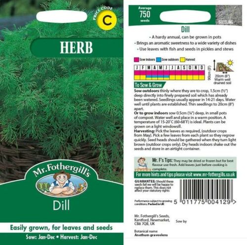 Dill Seeds Product Image