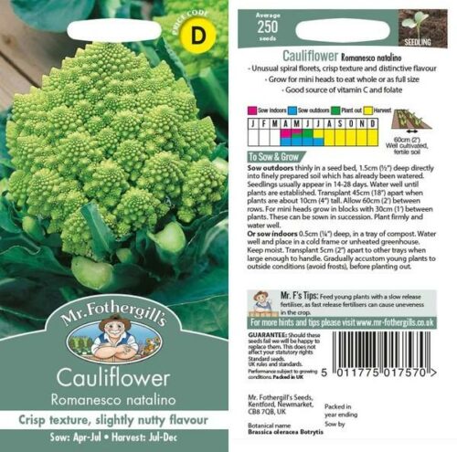 Cauliflower (Broccoli) Romanesco Natalino Seeds Product Image