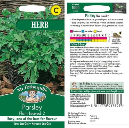 Parsley Pain Leaved 2 Product Image