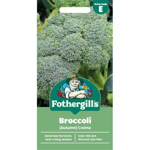 Broccoli Covina Product Image