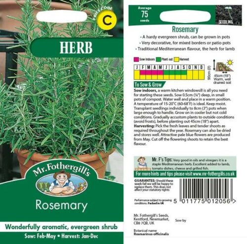 Rosemary Seeds Product Image