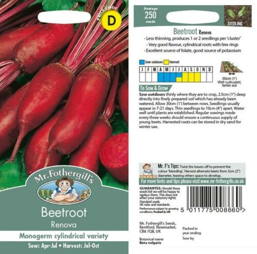 Beetroot Renova Seeds Product Image