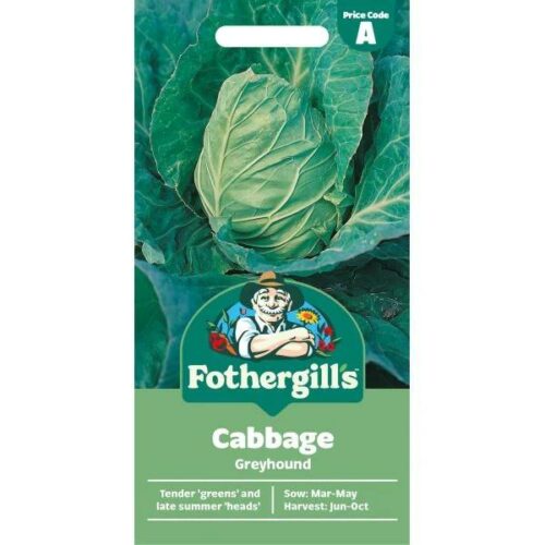 Cabbage Greyhound Seeds Product Image