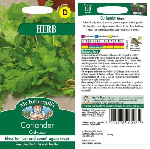 Coriander Calypso Seeds Product Image
