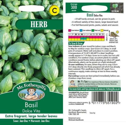 Basil Dolce Vita Product Image