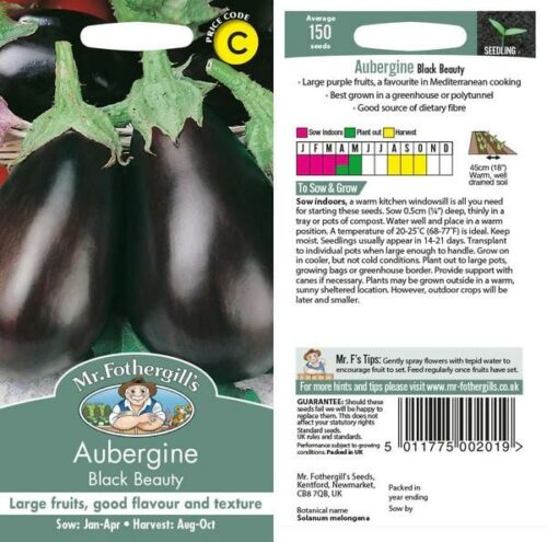Aubergine Black Beauty Seeds Product Image