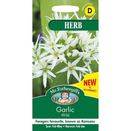 Garlic (Wild) Seeds Product Image