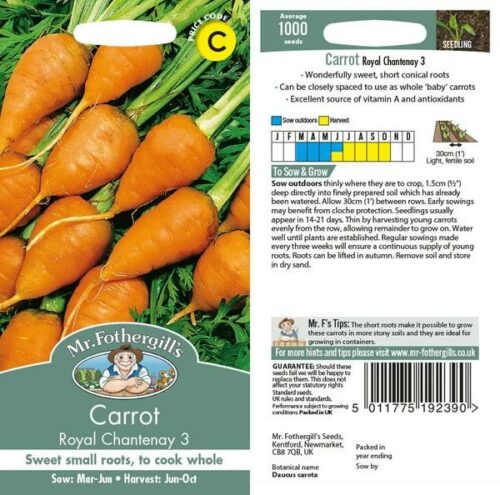 Carrot Royal Chantenay 3 Seeds Product Image