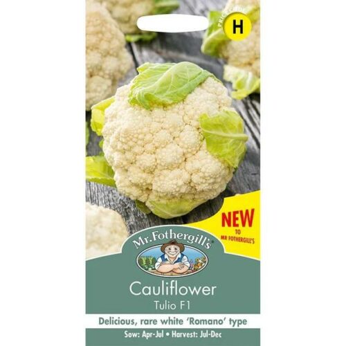 Cauliflower Tulio F1 Seeds Product Image