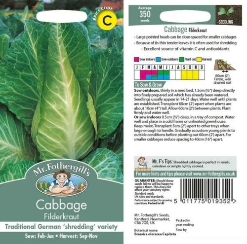 Cabbage Filderkraut Seeds Product Image