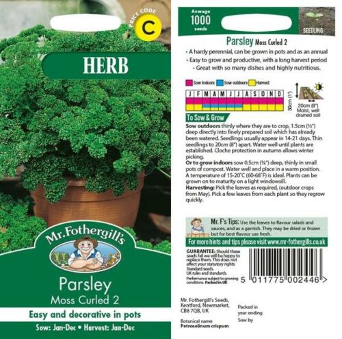 Parsley Moss Curled 2 Product Image