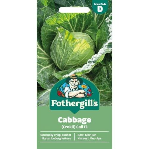 Cabbage Crokii Caii F1 Seeds Product Image