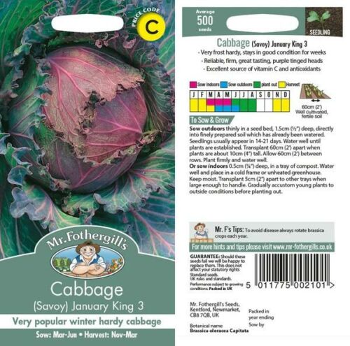 Cabbage January King 3 Seeds Product Image