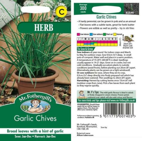 Garlic Chive Seeds Product Image