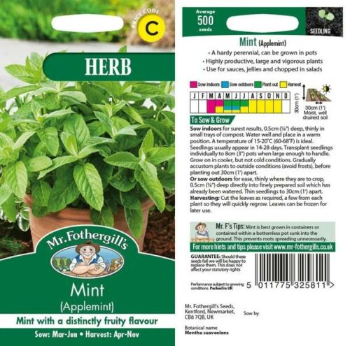 Mint (Applemint) Seeds Product Image