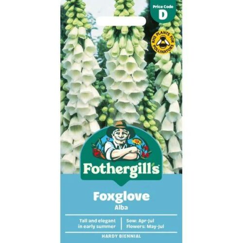 Foxglove Alba Seeds Product Image