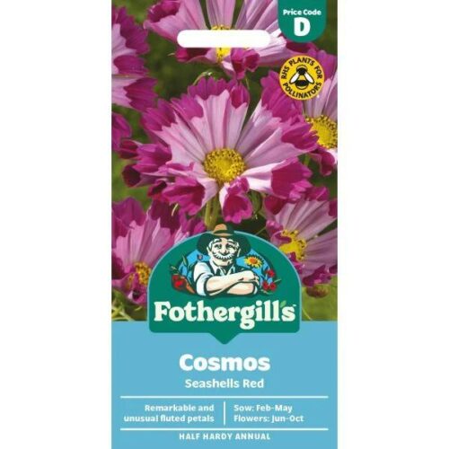 Cosmos Seashells Red Seeds Product Image
