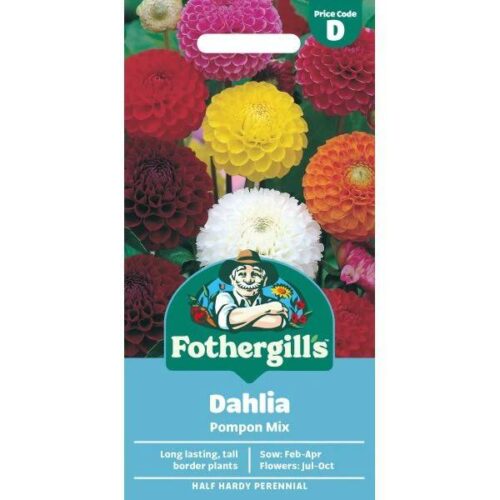 Dahlia Pompon Mixed Seeds Product Image