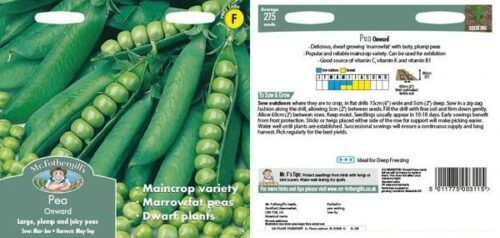 Runner Bean Hestia Seeds Product Image