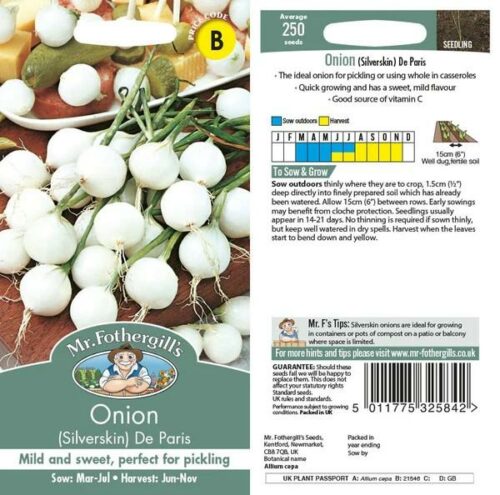 Onion De Paris (Silverskin) Vegetable Seeds Product Image